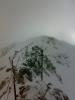 12022010048.jpg
